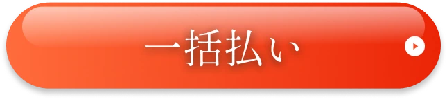 一括払い